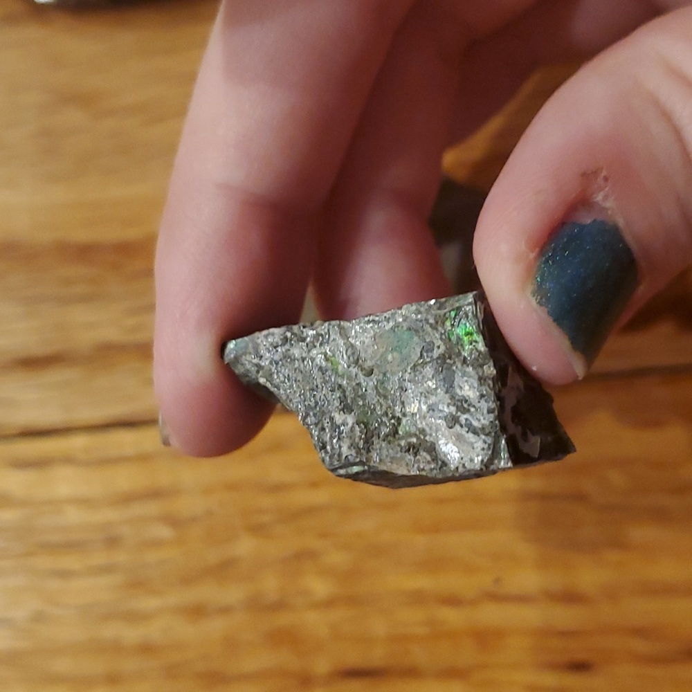 Ammolite fossil lot - Picture 11 of 12